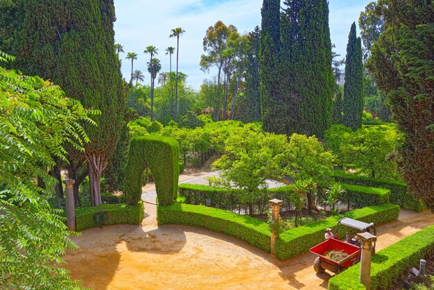 Vista panorâmica de um grande e belo jardim - Jardins do Alcázar Real de Sevilha. Espanha.