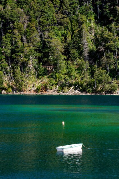 Foto vista panorâmica de um lago na floresta