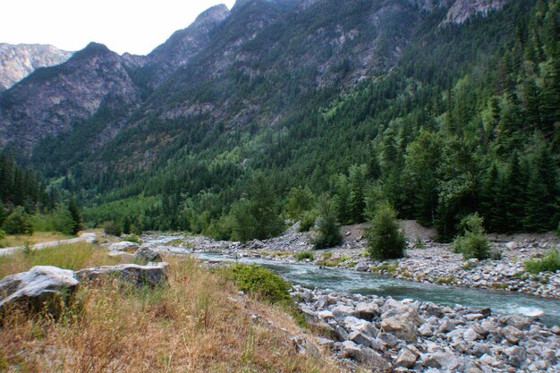 Vista panorâmica de um riacho que flui pelas montanhas