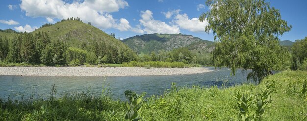 Vista panorâmica de um rio de montanha em um dia de verão