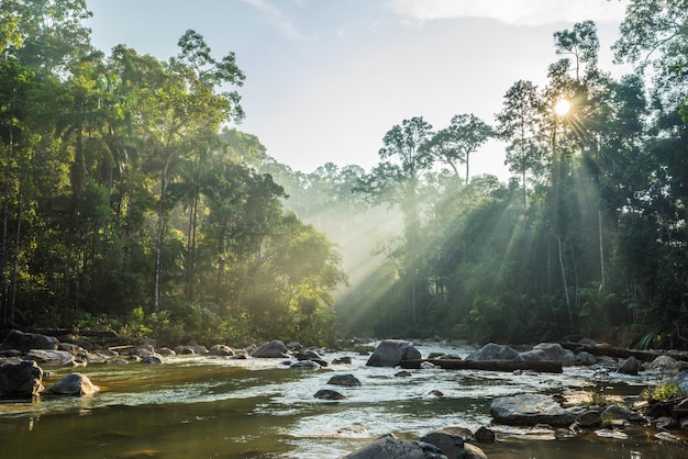 Foto vista panorâmica de uma cachoeira na floresta contra o céu