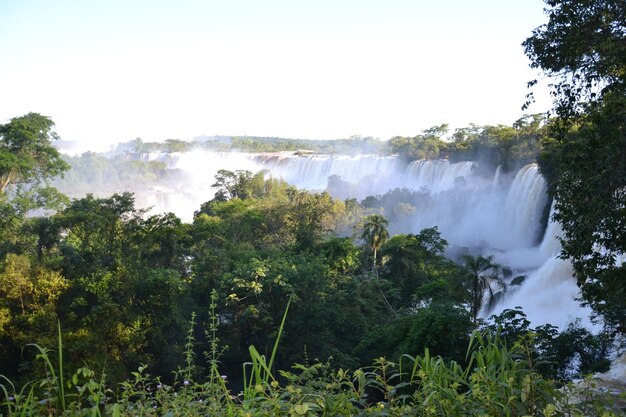 Foto vista panorâmica de uma cachoeira na floresta contra um céu claro