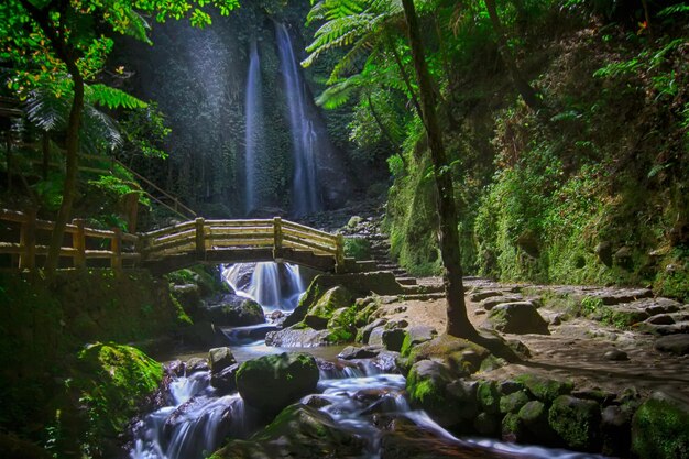 Vista panorâmica de uma cachoeira na floresta