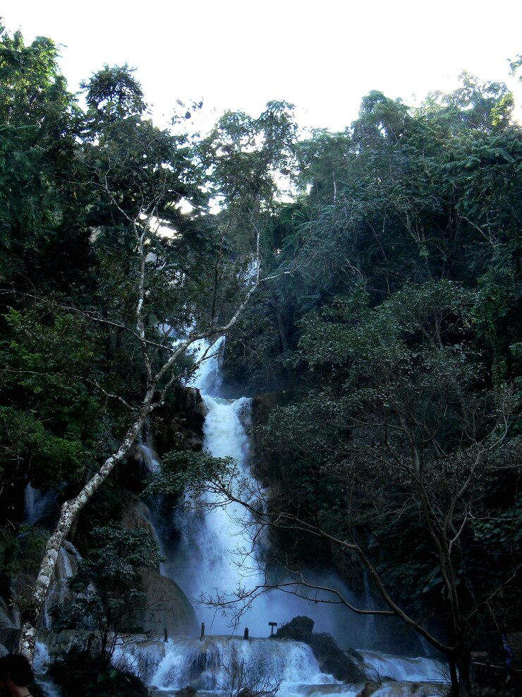 Foto vista panorâmica de uma cachoeira na floresta