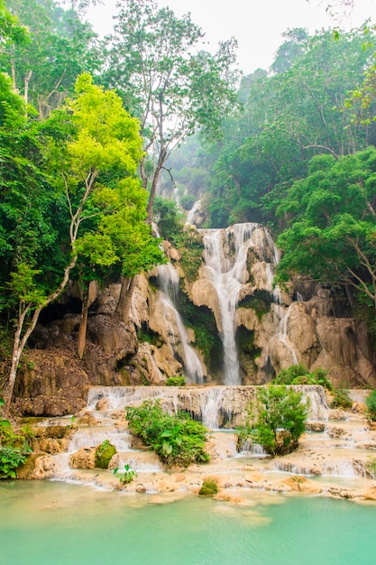 Vista panorâmica de uma cachoeira na floresta