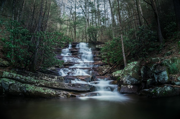 Vista panorâmica de uma cachoeira na floresta