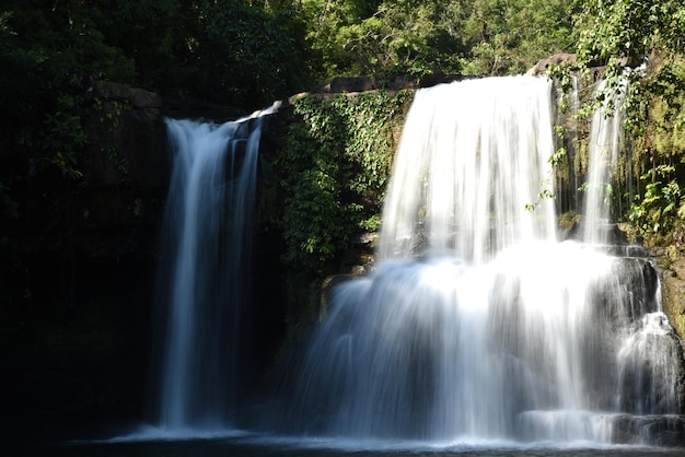 Vista panorâmica de uma cachoeira na floresta