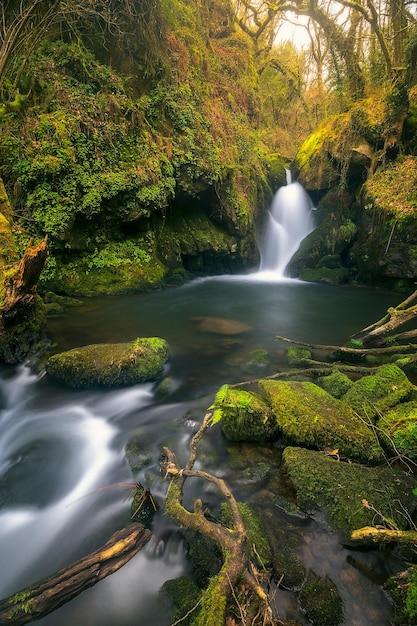 Foto vista panorâmica de uma cachoeira na floresta