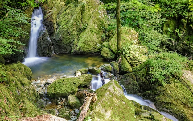 Vista panorâmica de uma cachoeira na floresta