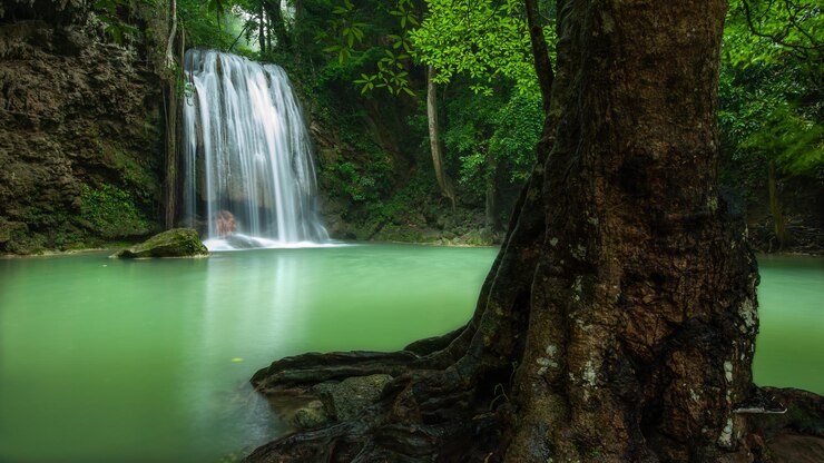 Foto vista panorâmica de uma cachoeira na floresta