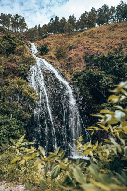 Foto vista panorâmica de uma cachoeira na floresta