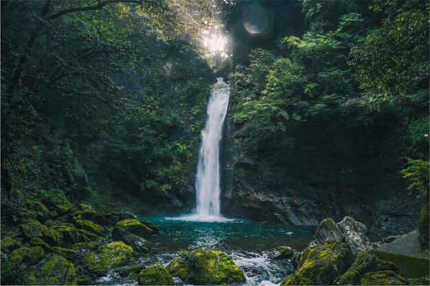 Foto vista panorâmica de uma cachoeira na floresta