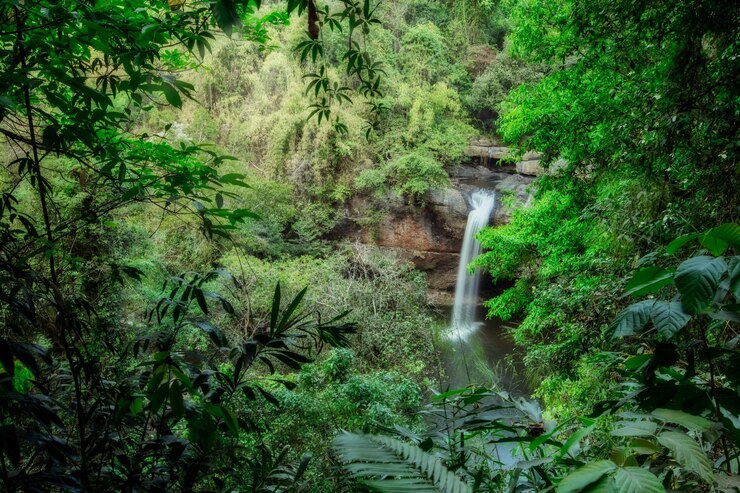 Foto vista panorâmica de uma cachoeira no meio de árvores na floresta