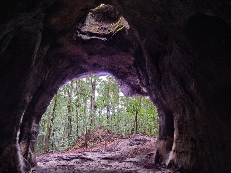 Foto vista panorâmica de uma caverna na floresta