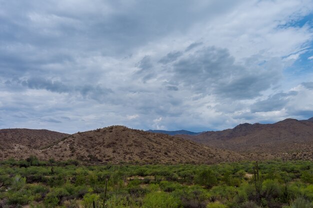 Vista panorâmica de uma estrada no deserto novo méxico