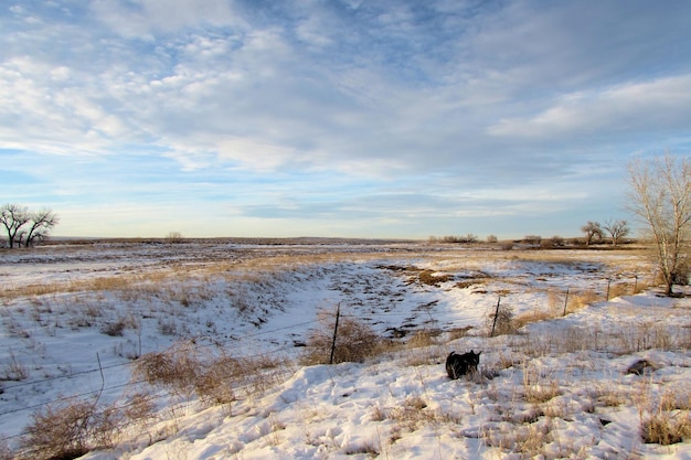 Vista panorâmica de uma paisagem coberta de neve contra um céu nublado