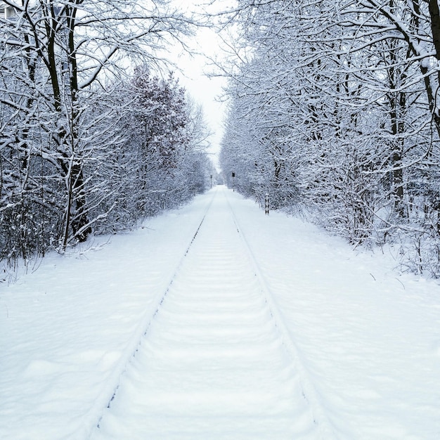 Foto vista panorâmica de uma paisagem coberta de neve