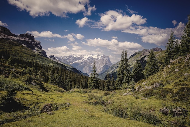 Vista panorâmica de uma paisagem verde contra um céu nublado
