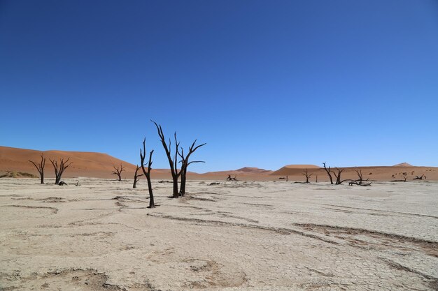 Foto vista panorámica del desierto contra un cielo azul claro