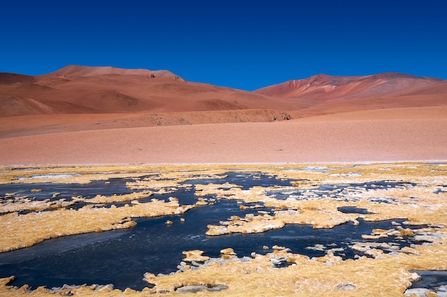 Foto vista panorámica del desierto contra un cielo azul claro