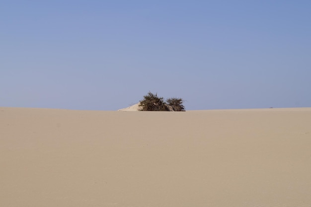 Vista panorámica del desierto contra un cielo azul claro