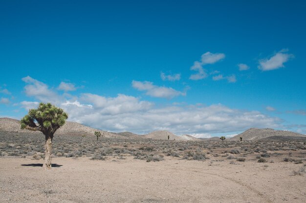 Foto vista panorámica del desierto contra el cielo azul