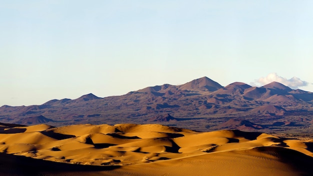 Vista panorámica del desierto contra el cielo despejado en un día soleado