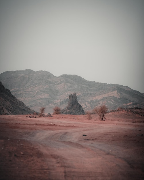 Foto vista panorámica del desierto contra un cielo despejado