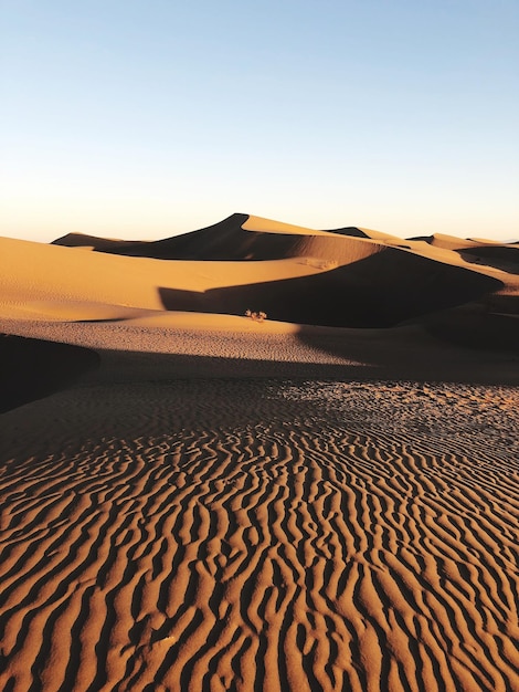 Foto vista panorámica del desierto contra un cielo despejado