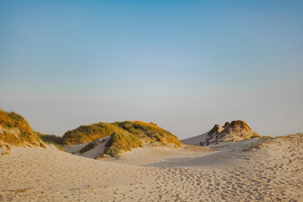 Foto vista panorámica del desierto contra un cielo despejado