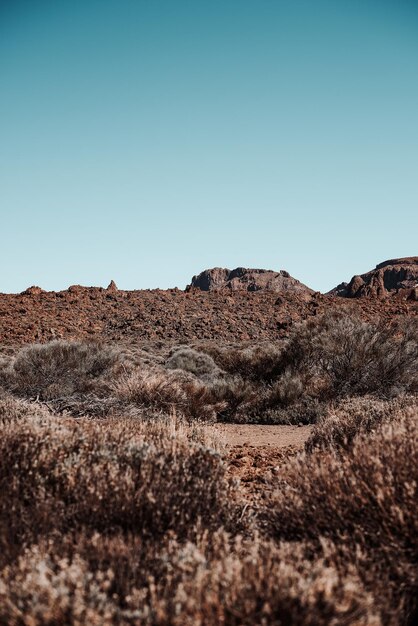 Foto vista panorámica del desierto contra un cielo despejado