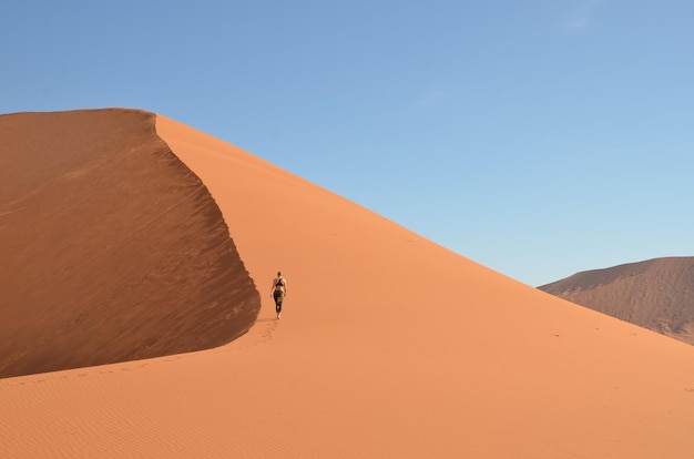 Vista panorámica del desierto contra un cielo despejado