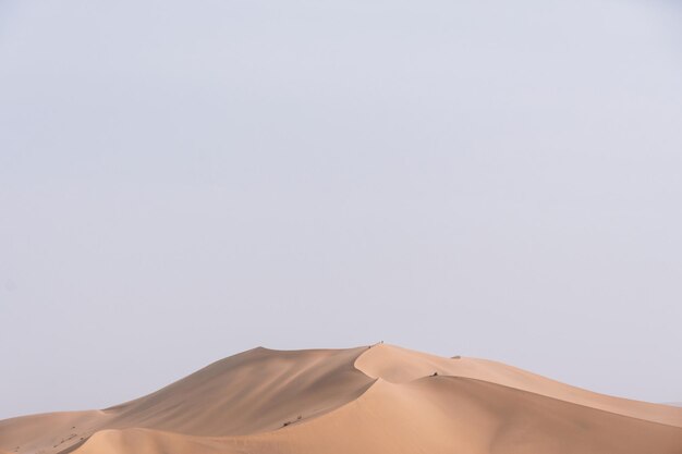 Vista panorámica del desierto contra un cielo despejado