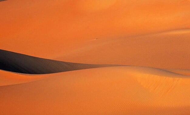 Vista panorámica del desierto contra el cielo naranja