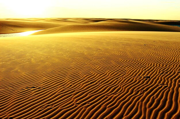 Foto vista panorámica del desierto contra el cielo durante la puesta de sol