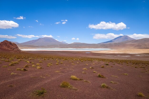 Vista panorámica del desierto contra el cielo