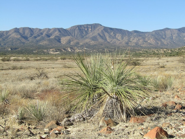 Vista panorámica del desierto contra el cielo