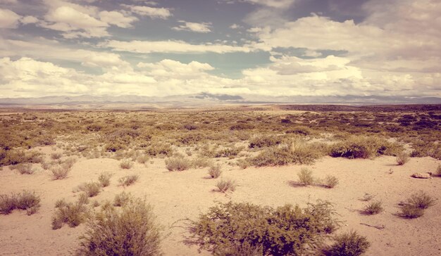 Vista panorámica del desierto contra el cielo