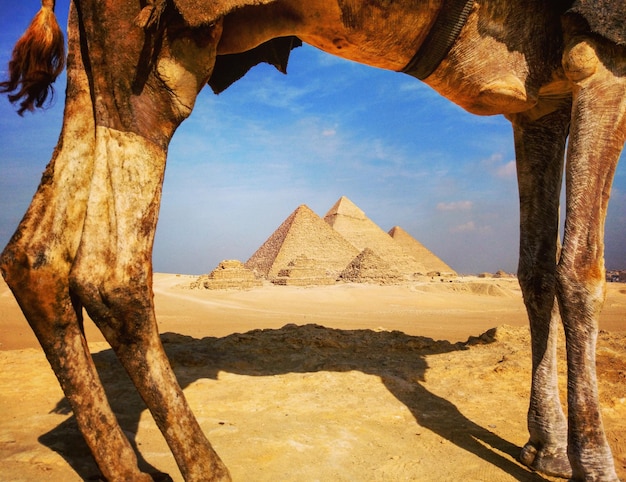 Vista panorámica del desierto contra el cielo
