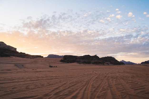 Vista panorámica del desierto y los dromedarios contra el cielo durante la puesta de sol