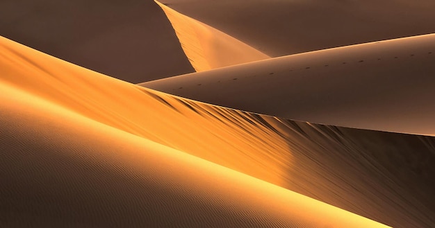 Vista panorámica del desierto