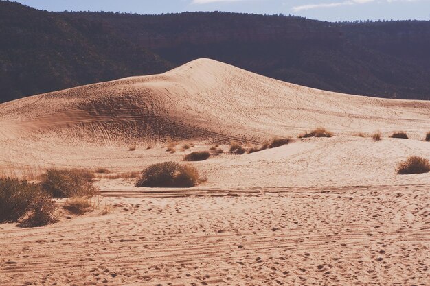 Vista panorámica del desierto