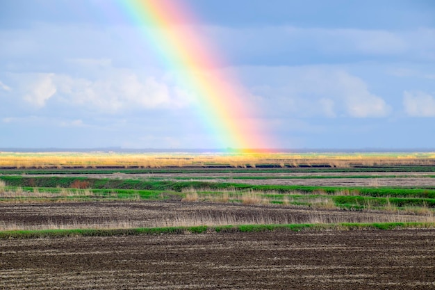 Foto vista panorâmica do arco-íris sobre o campo contra o céu