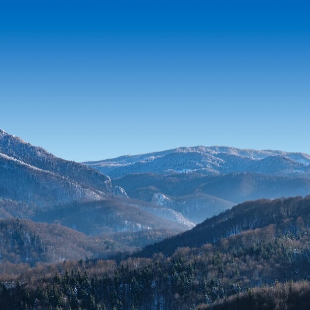 Foto vista panorâmica do belo cenário montanhoso do país das maravilhas do inverno com árvores cobertas de neve sem folhas céu azul claro e altas montanhas alpinas no fundo pitoresca cena invernal com espaço de cópia