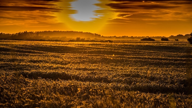 Foto vista panorâmica do campo contra o céu ao pôr-do-sol