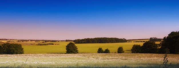 Foto vista panorâmica do campo contra o céu azul claro