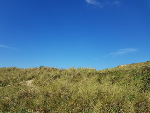 Foto vista panorâmica do campo contra o céu azul