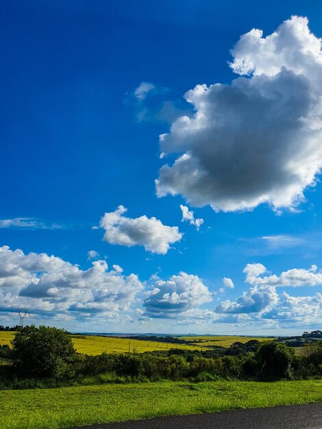 Vista panorâmica do campo contra o céu azul