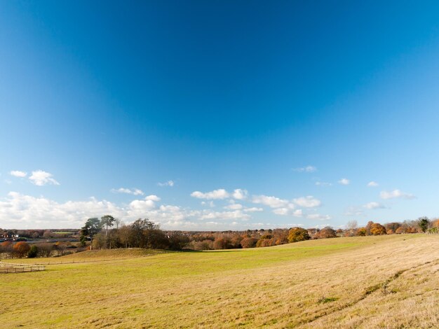 Vista panorâmica do campo contra o céu azul