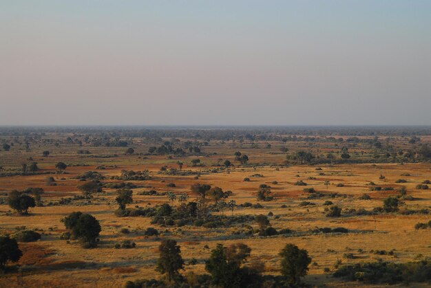 Vista panorâmica do campo contra o céu claro